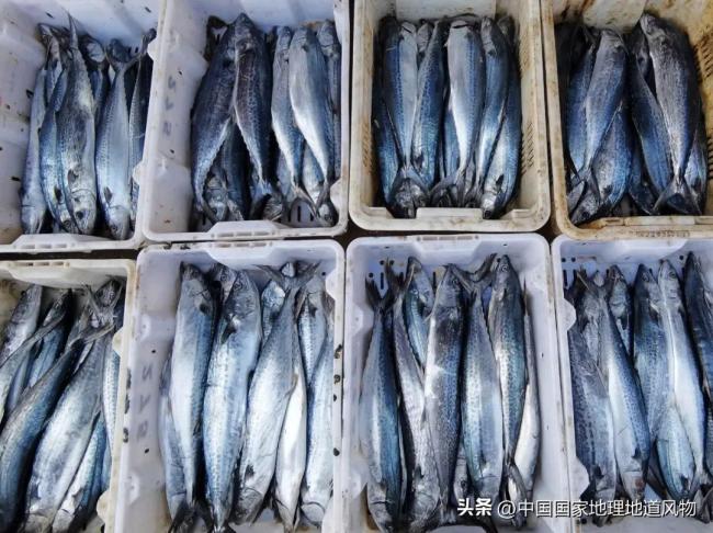 冬储春供保障点每天送出2万公斤鲜鱼，7万余吨水产品够武汉人吃三个月-武汉市农业农村局