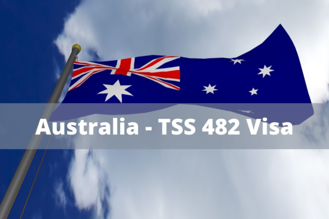 482