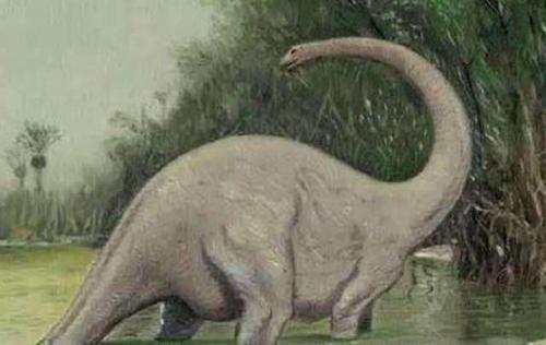 Mokele-Mbembe: The Last Living Dinosaur  摩克拉姆贝贝: 地球上仅存的恐龙