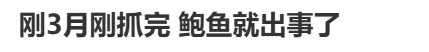 鲍鱼出事了！官方颁布禁令，价格即将暴涨…